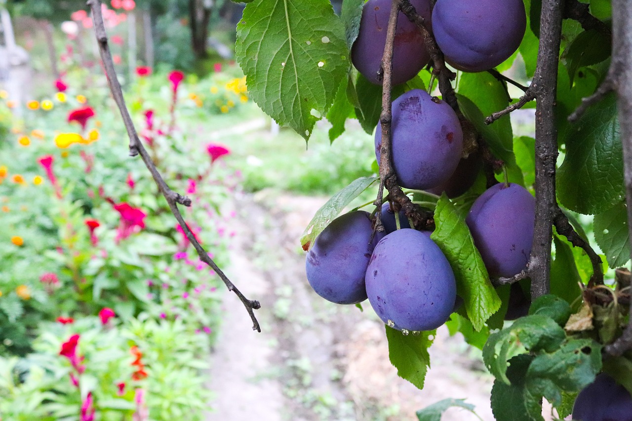 Pruning 101: When and How to Prune